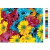 Maľovanie podľa čísel - FAREBNÉ KVETY