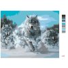 Maľovanie podľa čísel - BEŽIACI VLCI