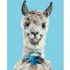 Maľovanie podľa čísel - LAMA S LATTÉ by HOLLY