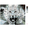 image with color metadata