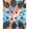 Maľovanie podľa čísel - NEBO NAD PALMAMI