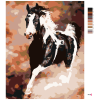 image with color metadata