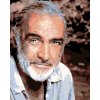 Maľovanie podľa čísel - SEAN CONNERY
