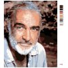 Maľovanie podľa čísel - SEAN CONNERY
