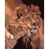 Maľovanie podľa čísel - LEV S LEVICOU