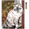 Maľovanie podľa čísel - BIELA MAČKA V OKNE