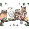 Maľovanie podľa čísel - SOVY S ČAJOM (HOLLY SIMENTAL)