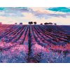 Maľovanie podľa čísel - LEVANDUĽOVÉ POLE A STROMY V DIAĽKE