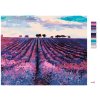 Maľovanie podľa čísel - LEVANDUĽOVÉ POLE A STROMY V DIAĽKE