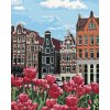 Maľovanie podľa čísel - TULIPÁNY V AMSTERDAME II