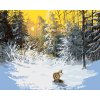 Maľovanie podľa čísel - LÍŠKA V ZASNEŽENOM LESE