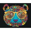 Maľovanie podľa čísel - PANDA S OKULIARMI