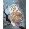 Maľovanie podľa čísel - ZIMNÁ SOVA