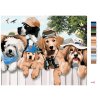 Maľovanie podľa čísel - PSI NA VÝLETE V PRÍRODE (HOWARD ROBINSON)