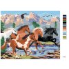 Maľovanie podľa čísel - DIVOKÉ KONE V HORÁCH (HOWARD ROBINSON)