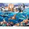 Maľovanie podľa čísel - ZVIERATÁ V OCEÁNE (HOWARD ROBINSON)