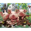 Maľovanie podľa čísel - PRASIATKA NA FARME A MOTÝLE (HOWARD ROBINSON)