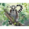 Maľovanie podľa čísel - LEMUR A MOTÝLE (HOWARD ROBINSON)