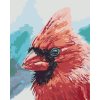Maľovanie podľa čísel - VTÁK KARDINÁL