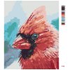 Maľovanie podľa čísel - VTÁK KARDINÁL