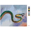 Maľovanie podľa čísel - ZELENÝ HAD