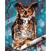 Maľovanie podľa čísel - SOVA V LESE