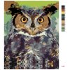 Maľovanie podľa čísel - FAREBNÁ SOVA II