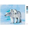 Maľovanie podľa čísel - POLÁRNY MEDVEĎ A MEDVIEĎA