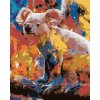 Maľovanie podľa čísel - FAREBNÁ KOALA
