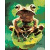 Maľovanie podľa čísel - ŽABA V LESE
