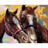 Maľovanie podľa čísel - DVA HNEDÉ KONE