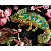 Maľovanie podľa čísel - CHAMELEÓN A ORCHIDEY