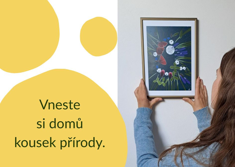 Autorské tisky