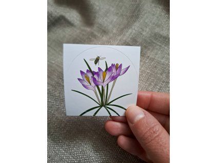 Vinylová samolepka | Krokus