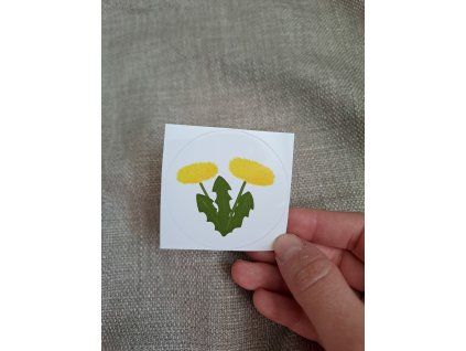 Vinylová samolepka | Pampeliška