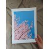 Autorský tisk | Sakura