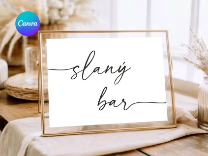 slany bar canva