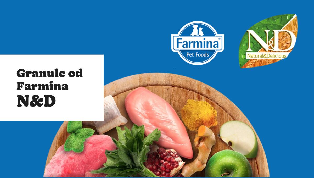 Ako vybrať to správne krmivo N&D pre svojho psa alebo mačku