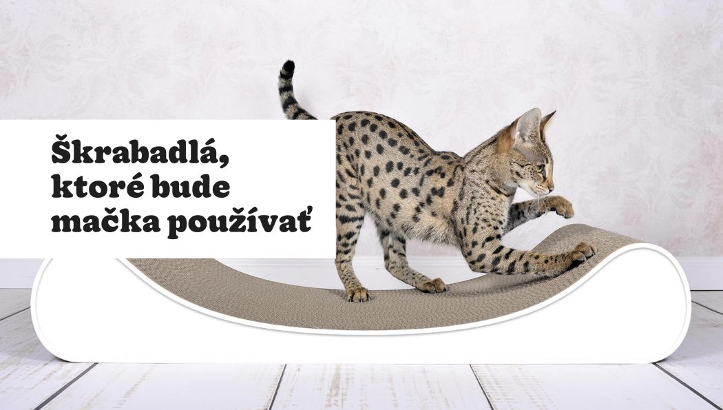 Ultimátny návod, ako vybrať škrabadlo pre mačky, ktoré budú používať