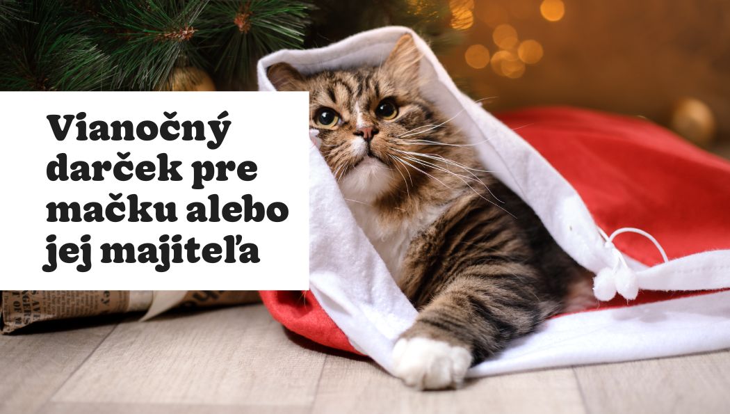 10 tipov na vianočný darček pre mačku alebo jej majiteľa