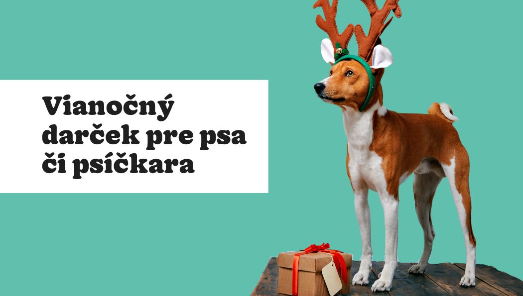 10 tipov na vianočný darček pre psa alebo psičkára