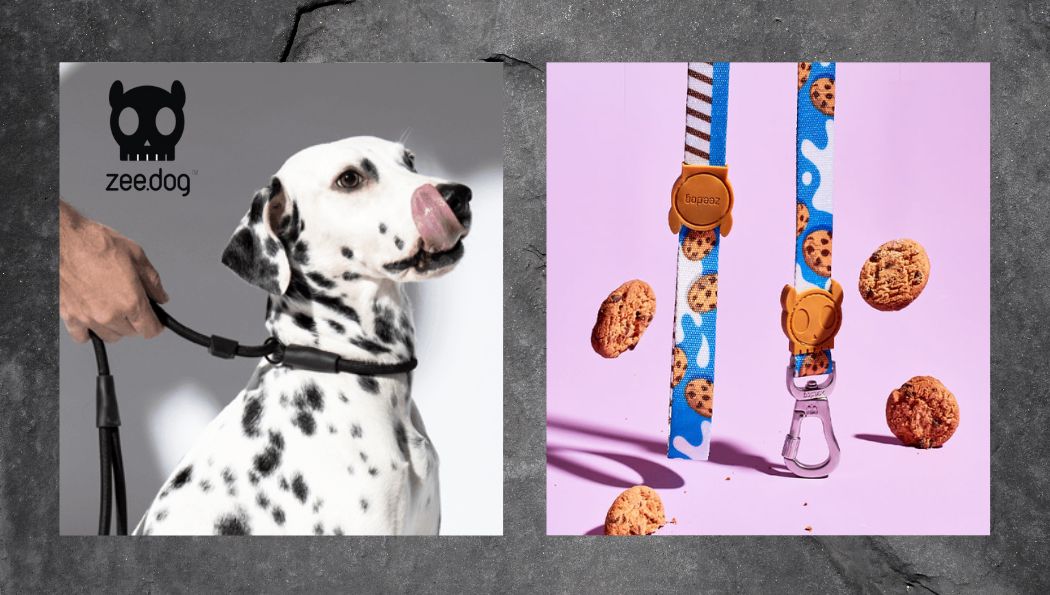 5 ikonických psích doplnkov Zee.dog dostupných aj na Slovensku