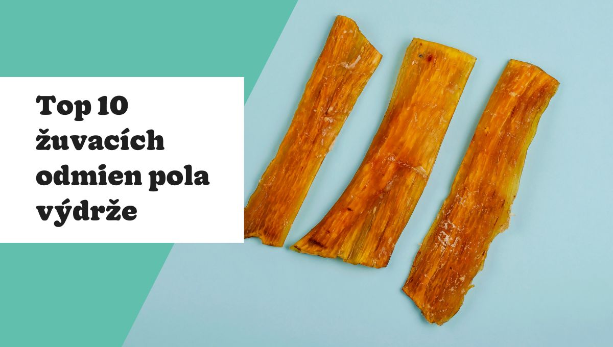 Žuvacie odmeny pre psa - top 10 zoradených podľa výdrže