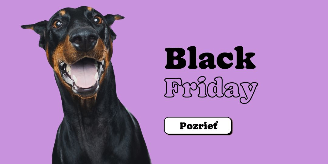Black Friday zľavy