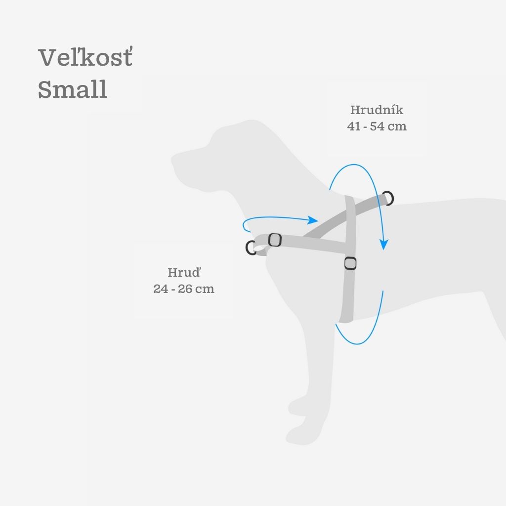 softerwalk-small
