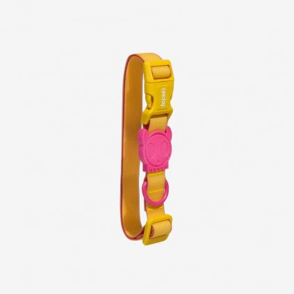 Zee.dog NeoPro obojok pre psa Lyra