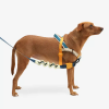 Zee.dog No-Pull Softer Walk postroj proti ťahaniu Voyage