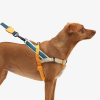 Zee.dog No-Pull Softer Walk postroj proti ťahaniu Voyage