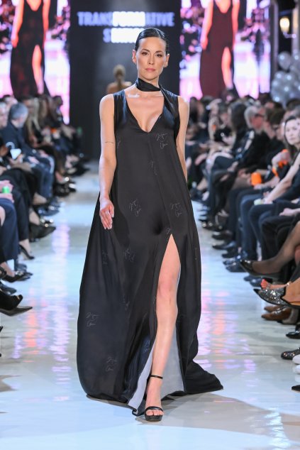 AESTHETIC DRESS
