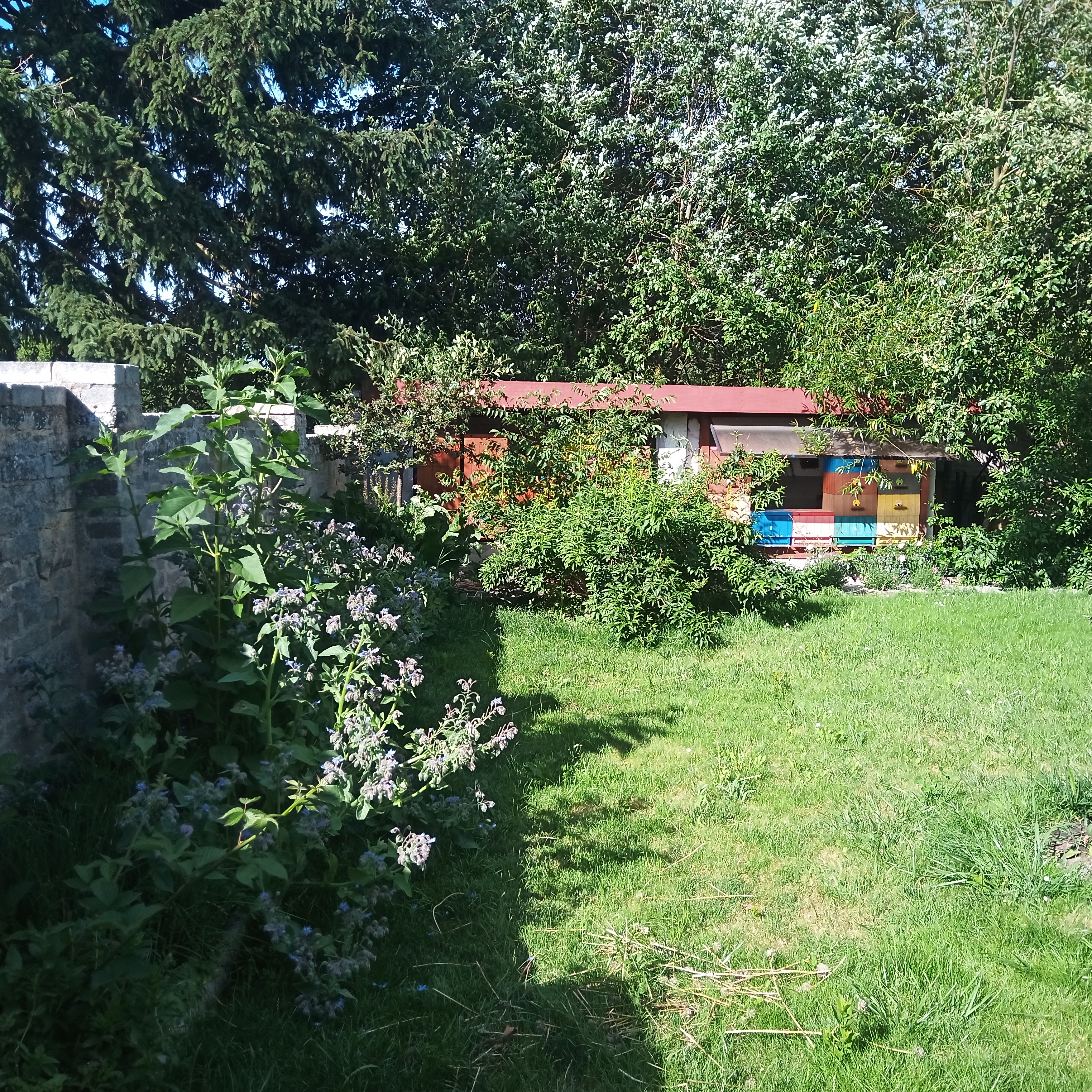 IMG_20250624_172345_109